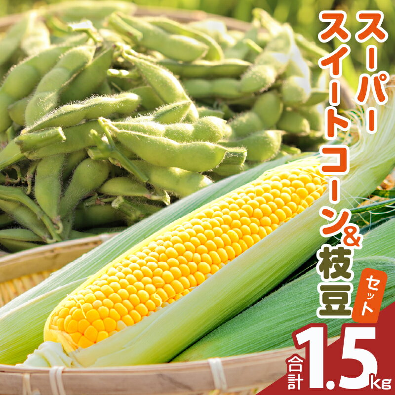 【ふるさと納税】期間限定 スーパースイートコーン ＆ 枝豆 茶豆風味 ・ 茶豆 セット 合計1.5kg お試し用 とうもろこし 野菜 サラダ おやつ おつまみ 産地直送 季節限定 詰め合わせ おすそ分け お取り寄せ グルメ 食品 国産 宮崎県 都農町 送料無料