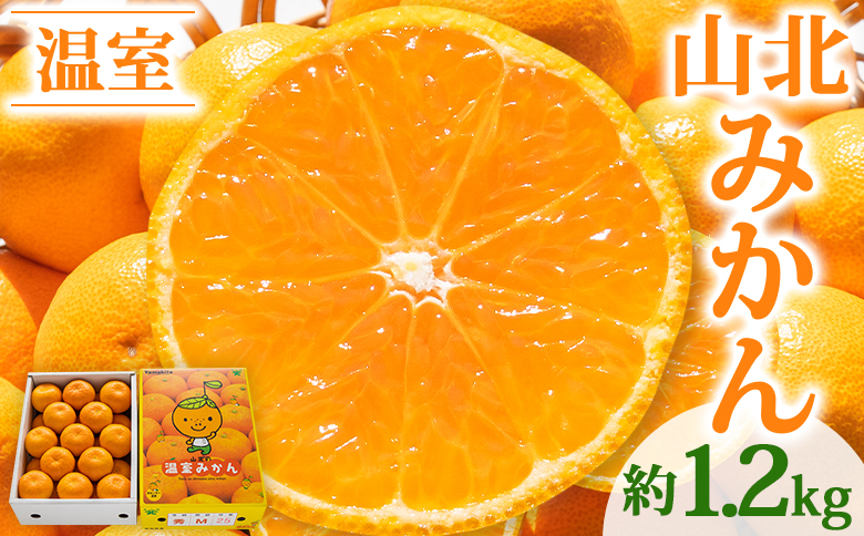 山北温室みかん1.2kg 秀品 果物 柑橘 ミカン 蜜柑 フルーツ ku-0021