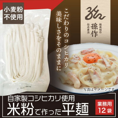 【ふるさと納税】米粉麺 平麺 グルテンフリー 128g×12食パック【1563082】