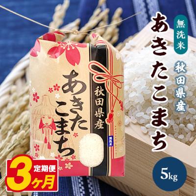 ふるさと納税 八郎潟町 【毎月定期便】あきたこまち 5kg【精米・無洗米】 秋田県産全3回