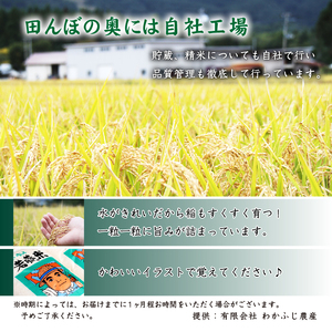 岩手県産 あきたこまち 玄米 5kg 2袋 総量 10kg 【わかふじ農産】 米 お米 こめ コメ ライス ご飯 ごはん ふっくら つやつや おいしい 美味しい 贈り物 単一原料米 国産 特産品 仕送