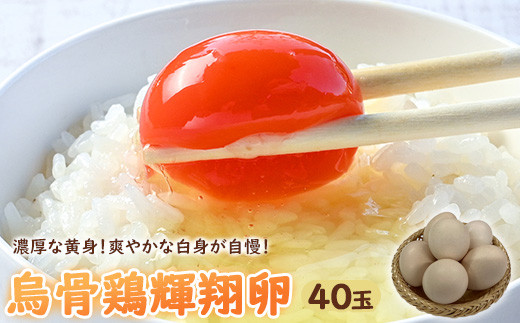 
            烏骨鶏　濃厚な黄身！爽やかな白身が自慢！【烏骨鶏輝翔卵】40玉 ◇ ※離島への配送不可
          