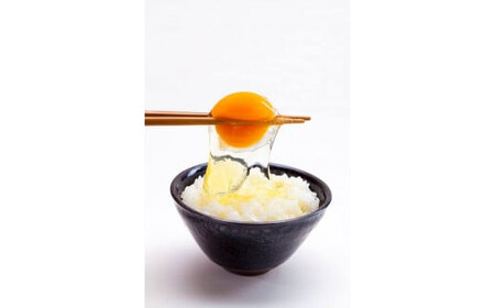 33-H　【卵かけご飯セット～山塩たれ付き～】　平飼い会津地鶏の卵《定期便》生卵４５個、卵かけご飯用山塩タレ２０個×６か月※沖縄・離島への配送不可 ※2023年11月頃より順次発送予定