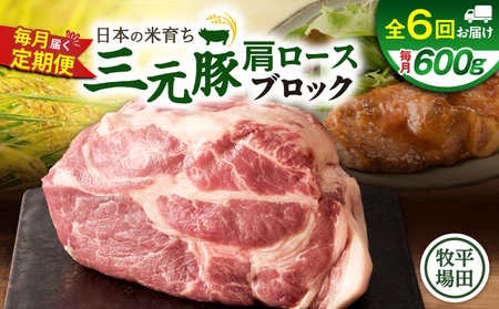 【 全6回 毎月 定期便 】 日本 の 米育ち 平田牧場 三元豚 肩ロース ブロック 600g T036-T10-02 定期 肉 お肉 にく 豚 豚肉 ブタ ぶた 生姜焼き トマト煮 黒豚 冷凍 バークシャー種 特別品種 便利 パック おかず 夕食 美味しい おいしい ジューシー ふるさと納税 北海道 苫小牧市 おすすめ ランキング プレゼント ギフト