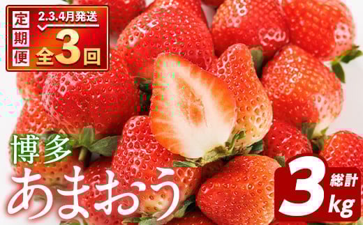 ＜先行予約受付中！2026年2月上旬以降順次発送予定＞＜定期便・全3回(2月・3月・4月)＞博多 あまおう (総計3kg) いちご イチゴ 苺 ストロベリー 果物 フルーツ おやつ デザート 冷蔵 旬 小分け 定期便 【農産物直売所ほたるの里】as52-012
