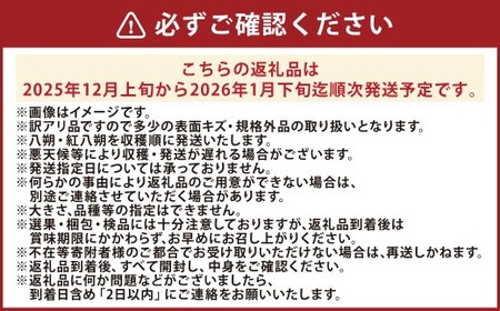 【訳あり】 長崎県産 八朔 ・ 紅八朔 約10kg 【2026年2月上旬～3月上旬迄発送予定】 ／ はっさく 紅はっさく 柑橘 柑橘類 みかん フルーツ 果物 くだもの 国産フルーツ 規格外品 訳アリ