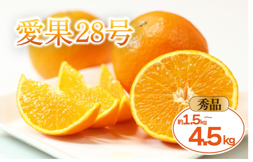 
                  【2026年11月中旬頃から発送予定】愛果28号 秀品 約1.5kg  3kg 4.5kg 贈答用 化粧箱入り  | 紅まどんな と同品種 あいか28号 みかん 蜜柑 mikan 檸檬 オレンジ 紅マドンナ と同品種 おれんじ かんきつ 愛媛県 松山市 ココオ Koko'o 
                