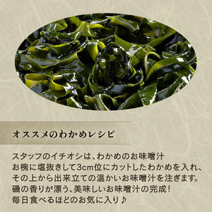 わかめ 400g 湯通し塩蔵わかめ  海鮮 海藻 魚貝類 魚介類 小分け みそ汁 スープ 酢の物 三陸産 岩手県 大船渡市