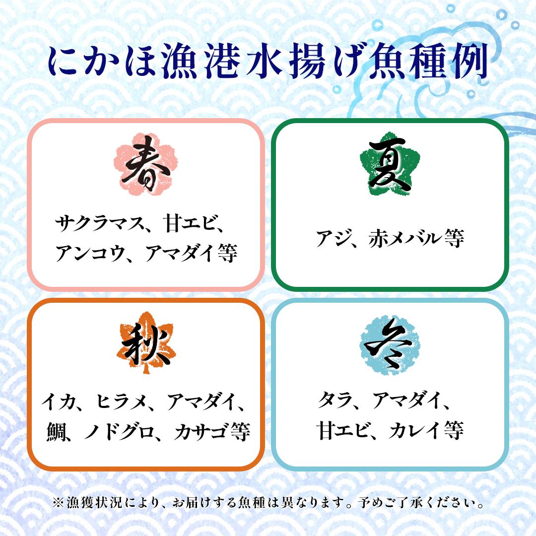 鮮魚 冷蔵 クール便「 開けたらすぐ食べられる下処理済み 海産物 2～3人前 セット 」みずしまや【 パック 詰め合わせ 海鮮セット 鮮魚ボックス 海鮮 海の幸 魚介 魚介類 刺身 切り身  秋田県 