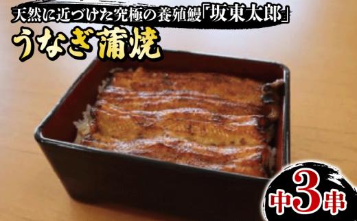 うなぎ坂東太郎 蒲焼 中3串 うなぎ 坂東太郎 蒲焼 グルメ 鰻 加工品 レトルト 惣菜 人気 おすすめ 簡単調理 真空パック お取り寄せ グルメ ギフト お土産 土用の丑の日 お中元 お歳暮 贈答 プレゼント 贈り物 食品 うな重 魚貝 冷凍 送料無料 千葉県 銚子市 忠平