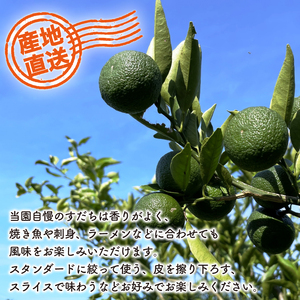 すだち 2kg 徳島 すだち すだち 柑橘 すだち