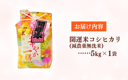 【無洗米】先行受付 令和7年産 開運米 コシヒカリ（減農薬）幸手産 - 5kg×1袋 ５kg 先行 予約 新米 新米予約 先行予約 2025年発送 こしひかり 福祉 応援 安心 安全 埼玉県 幸手市 