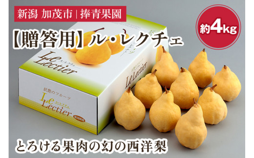 【2026年先行予約】【贈答用】西洋梨 ル・レクチェ 約4kg（9〜12玉） 《11月下旬～順次発送》 ル・レクチエ ルレクチエ ルレクチェ  幻の西洋梨 果実 フルーツ 冬の味覚 加茂市 捧青果園