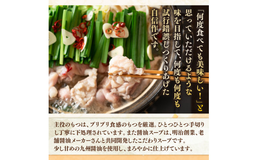 【毎月定期便】博多醤油もつ鍋　3～4人前セット 全6回　AO108