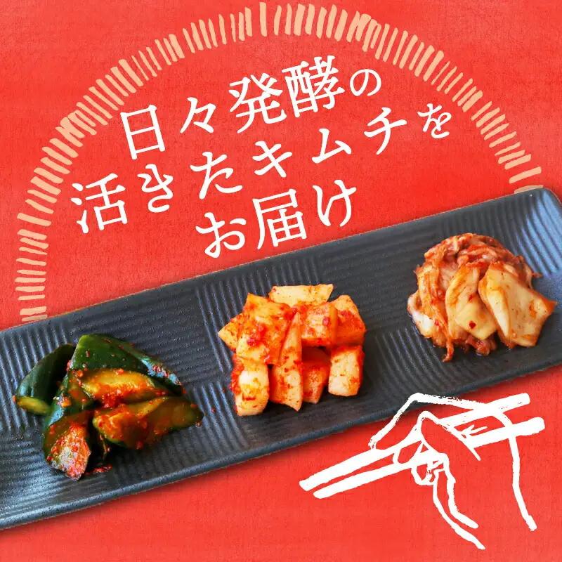 【定番キムチ】キムチ3種 900グラム