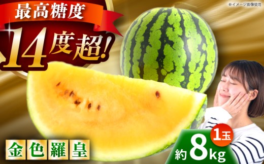 【先行予約】金色羅皇 スイカ 3L以上 1玉 約8kg 金色 黄色 すいか 野菜 フルーツ 果物 【日本フルーツ株式会社】 [ZFJ008]