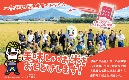 米 新米 20kg 令和7年産 4種食べ比べ スピード発送