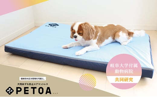 【ペット用品 犬】犬用床ずれ防止エアマット PETOA-ペトア- (中型犬用) ブルー 寝たきりのワンちゃん向け [№5787-0802] ※離島への配送不可
