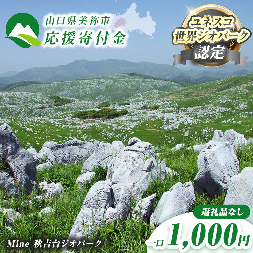【ふるさと納税】 【 ※ 返礼品なし 】 美祢市 への 応援 寄附金 ( 1,000円分 ) [ 募金 社会貢献 支援金 ワンストップオンライン対応 ]