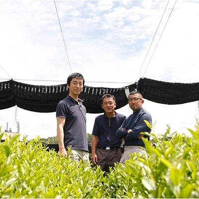 ふるさと納税 宇治田原町 【数量限定】農林水産大臣賞受賞者　下岡清富×勝谷健士×谷口悟司　コラボ宇治茶