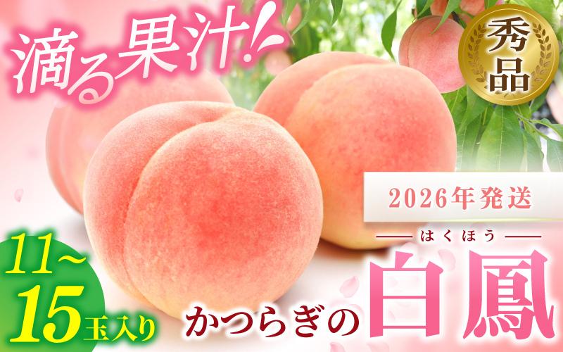 
            ☆2026年先行予約☆ 和歌山県産 白鳳 桃 11～15玉入り 秀品【2026年6月下旬から7月下旬ごろ発送】/ かつらぎ町 和歌山県産 桃 モモ 白鳳 フルーツ 果物 くだもの 人気 産地直送 厳選 甘い 予約 
          