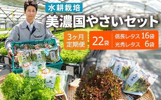 【3ヶ月定期便】美濃国やさいセット 計22袋 ｜ 野菜 野菜セットレタス フリルレタス 水耕栽培 安全 安心 衛生的 新鮮 シャキシャキ 産地直送 サラダ サンドイッチ