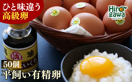 平飼い！高級有精卵 50個入り（Lサイズ） / 玉子 たまご 高級 平飼い 贈答 【ymg609-p-50A】