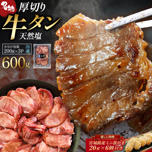 蔵王福膳・柔らか牛タン(塩) 600g・笹かま付き　牛たん 牛タン 仙台名物 厚切り 蔵王 人気【04301-0566】