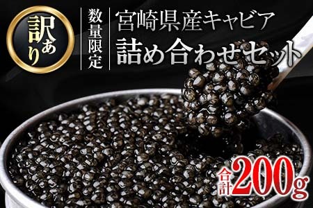 訳あり 数量限定 5つ星ホテル採用 宮崎県産 キャビア 詰め合わせ セット 合計200g 魚卵 魚介 魚貝 国産 熟成 新鮮 高級 希少 食品 世界三大珍味 黒いダイヤ おすすめ 水産物 おつまみ ご褒美 お祝い 記念日 パーティー お取り寄せ グルメ 日南市 送料無料_XF1-25