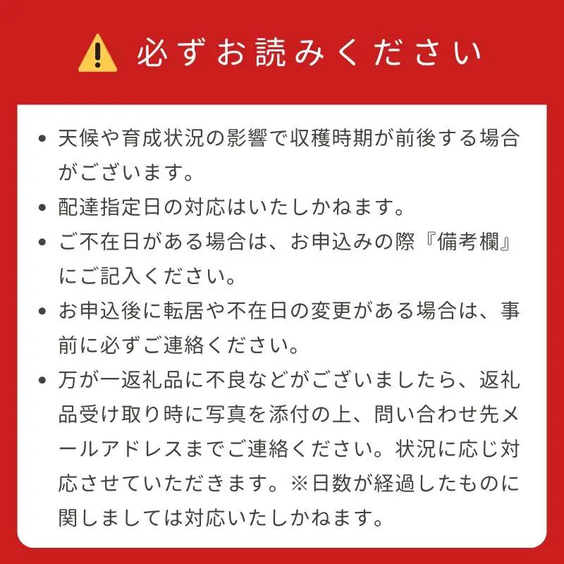 とうもろこし ホワイトコーン 10本 京丹後産 京都