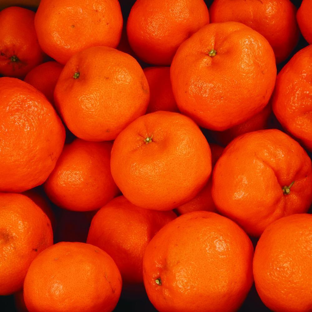 ［先行予約］家庭用 ポンカン1kg+250g（傷み補償分）［IKE22］