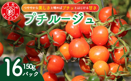 ミニ トマト プチルージュ 150g × 16パック | トマトトマトトマトトマトトマトトマト