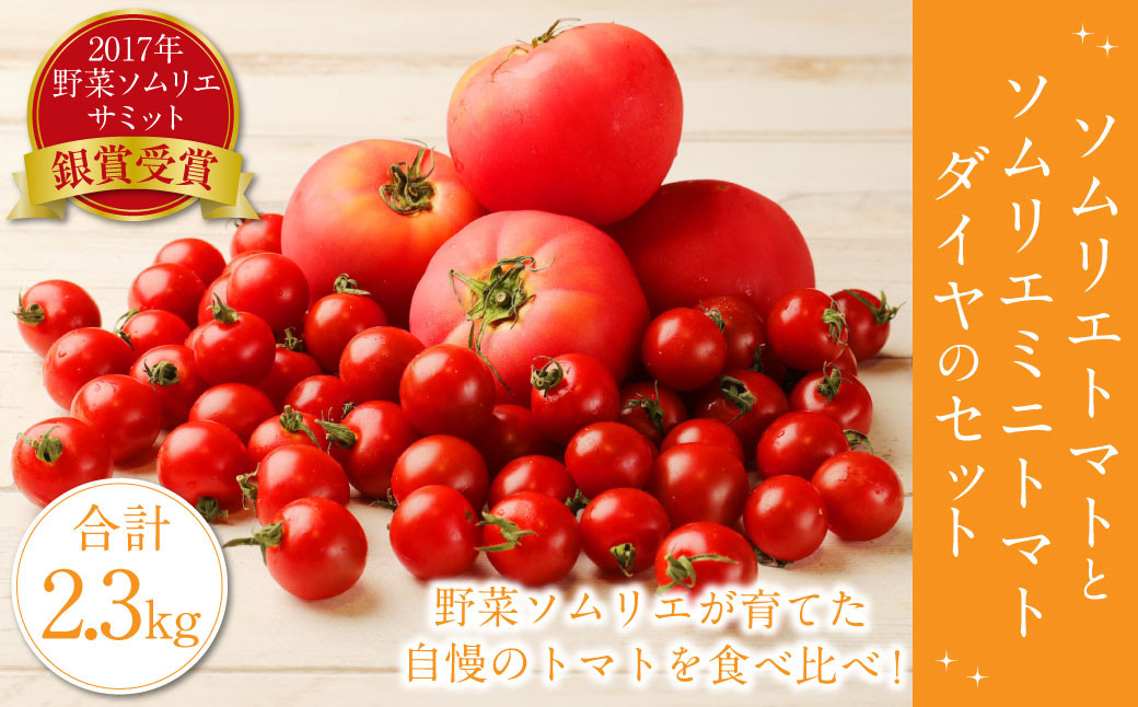 
                  【 食べ比べ 】ソムリエ トマト 1.3kg と ソムリエ ミニトマト ダイヤ 1kg の セット 合計2.3kg 2種 とまと 野菜 国産 九州 熊本県産 冷蔵 【2026年2月上旬発送開始】
                