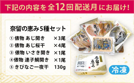 【全12回定期便】奈留の恵み(干物5種詰め合わせ) アジ キビナゴ イサキ 連子鯛 キダイ 一夜干し 五島市/奈留町漁業 [PAT009]