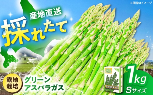 【2026年5月上旬以降順次発送】 グリーンアスパラガス 1kg （S/露地栽培）《喜茂別町》【久保田農園】 アスパラ あすぱら アスパラガス あすぱらがす グリーンアスパラ 冷蔵 冷蔵配送 野菜 春野菜 [AJAM009] 8000 8000円 8千円