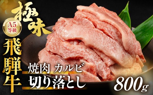 【1月発送】訳あり A5等級飛騨牛 カルビ切り落とし800g（400g×2パック）| 飛騨牛 牛肉 焼き肉 やきにく 和牛 黒毛和牛 牛肉 焼肉  焼き肉 牛肉 カルビ 飛騨牛 牛肉 焼き肉 やきにく 和牛 黒毛和牛 牛肉 焼肉  焼き肉 牛肉 カルビ  飛騨高山 ながせ食品