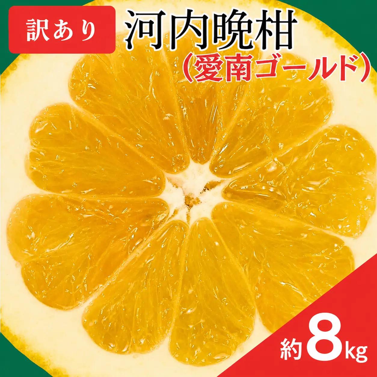 河内晩柑 8kg 河内晩柑 愛なんよ