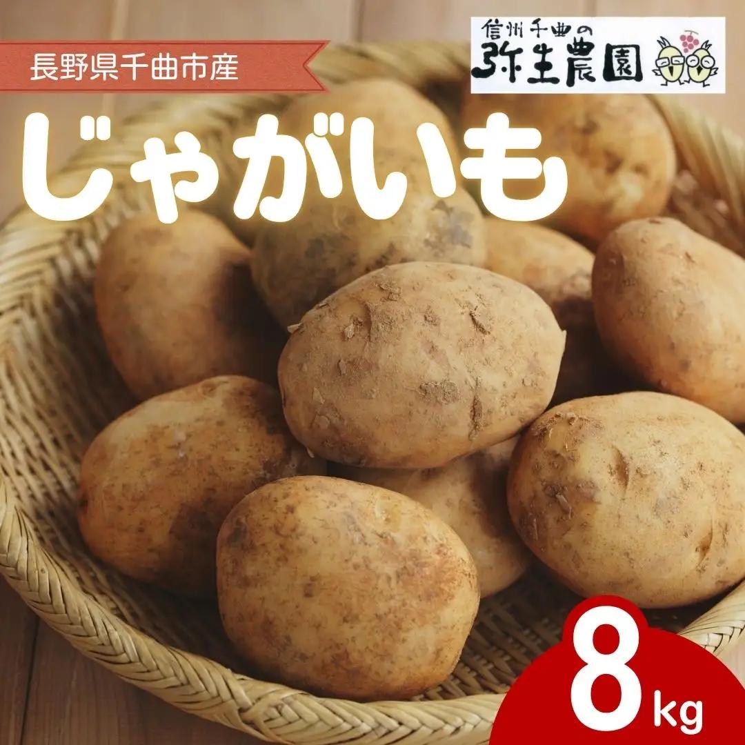 千曲市産 じゃがいも 8kg | じゃがいも
