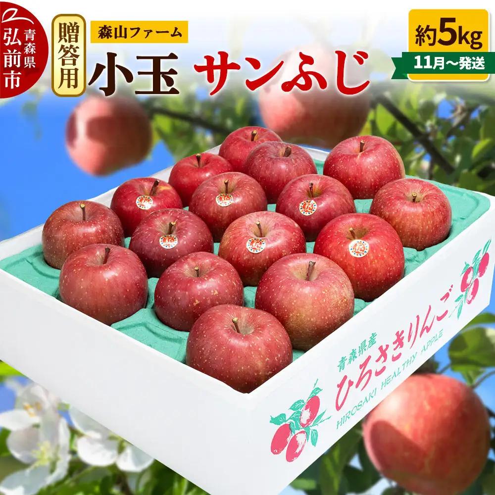 りんご サンふじ 贈答用 約5kg 小玉 11月発送 りんご