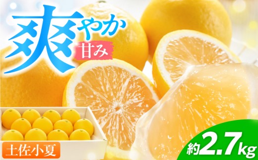 【先行予約】厳選・土佐小夏 約2.7kg（Mサイズ 約18個 または Sサイズ 約24個）〈2027年5月下旬頃～2027年8月上旬頃まで発送〉 / 小夏 土佐小夏 柑橘 果物 フルーツ デザート ビタミン 季節限定 期間限定 旬 初夏 高知 高知県 土佐 【L＋武田青果】[ATIT002]