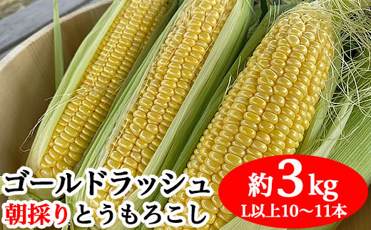 
                  とうもろこし約3kg（ゴールドラッシュ L以上10～11本）【丸茂農園】
                