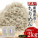 【ふるさと納税】 訳あり ちりめん 選べる容量 500g 1kg 1.5kg 2kg 国産 しらす ちりめんじゃこ 鰯 いわし 魚 海鮮 魚介 類 干物 乾物 産地直送 ご飯 ごはん おにぎり 米 こめ 不揃い 規格外 家庭用 おつまみ おかず おやつ 酒の肴 惣菜 パスタ ピザ ちりめん山椒 和田島産