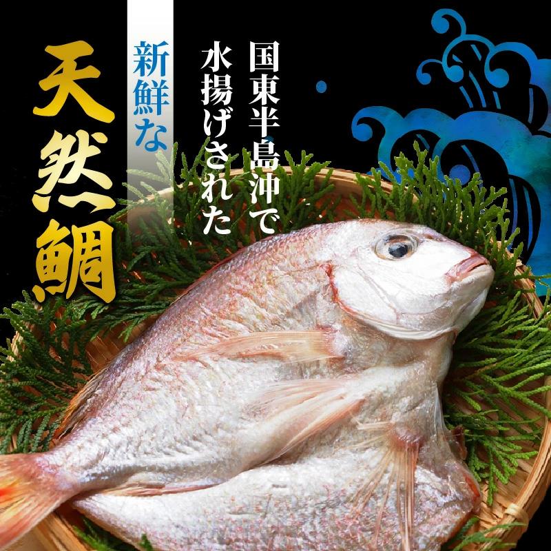 驚愕の大きさ！訳あり天然鯛の一夜干し1.8kg_1554R