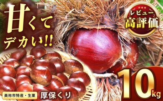 【先行予約】甘くて デカい ! 厚保くり ( 生栗 ) 10kg 山口美祢産 先行予約 ＜ 2026年10月上旬 ～ 11月中旬頃 発送予定＞  ｜  山口 美祢 栗 くり 厚保 大きい 甘い 大玉 特産品 焼き栗 栗ご飯 生栗 期間限定 季節限定 先行予約 10kg