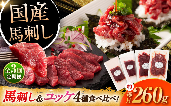 
            【全3回定期便】【本場・熊本特産】馬刺し4種の食べ比べ 3890 / 熊本県 菊陽町 ばさし 馬刺し ゆっけ ユッケ 赤身 あかみ たれ タレ 旨 うま ご褒美 脂 お祝【株式会社フジチク】 [BHAD063]
          