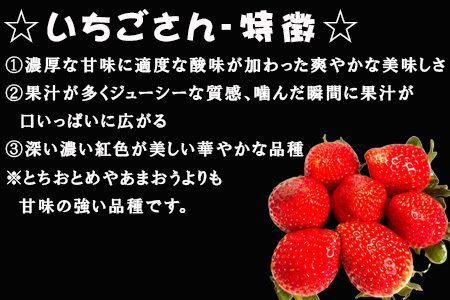 『予約受付』【令和6年1月下旬より順次発送】唐津産 いちごさん 250g×12パック(合計3kg) 濃厚いちご 苺 イチゴ 果物 フルーツ