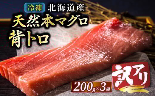 【8月配送】北海道産 天然 本マグロ 背トロ 冷凍 200g × 3柵 計600g（訳あり 筋あり） 国産 鮪 ホンマグロ クロマグロ ネギトロ マグロたたき にもできます マグロステーキ マグロ中トロ 小分け 冷凍 魚介類 海鮮 絶品 高級 配送月指定 配送月を選べる 配送時期 発送月が選べる 発送月 人気 ヒロセ 北海道 釧路町 釧路超 特産品 br02