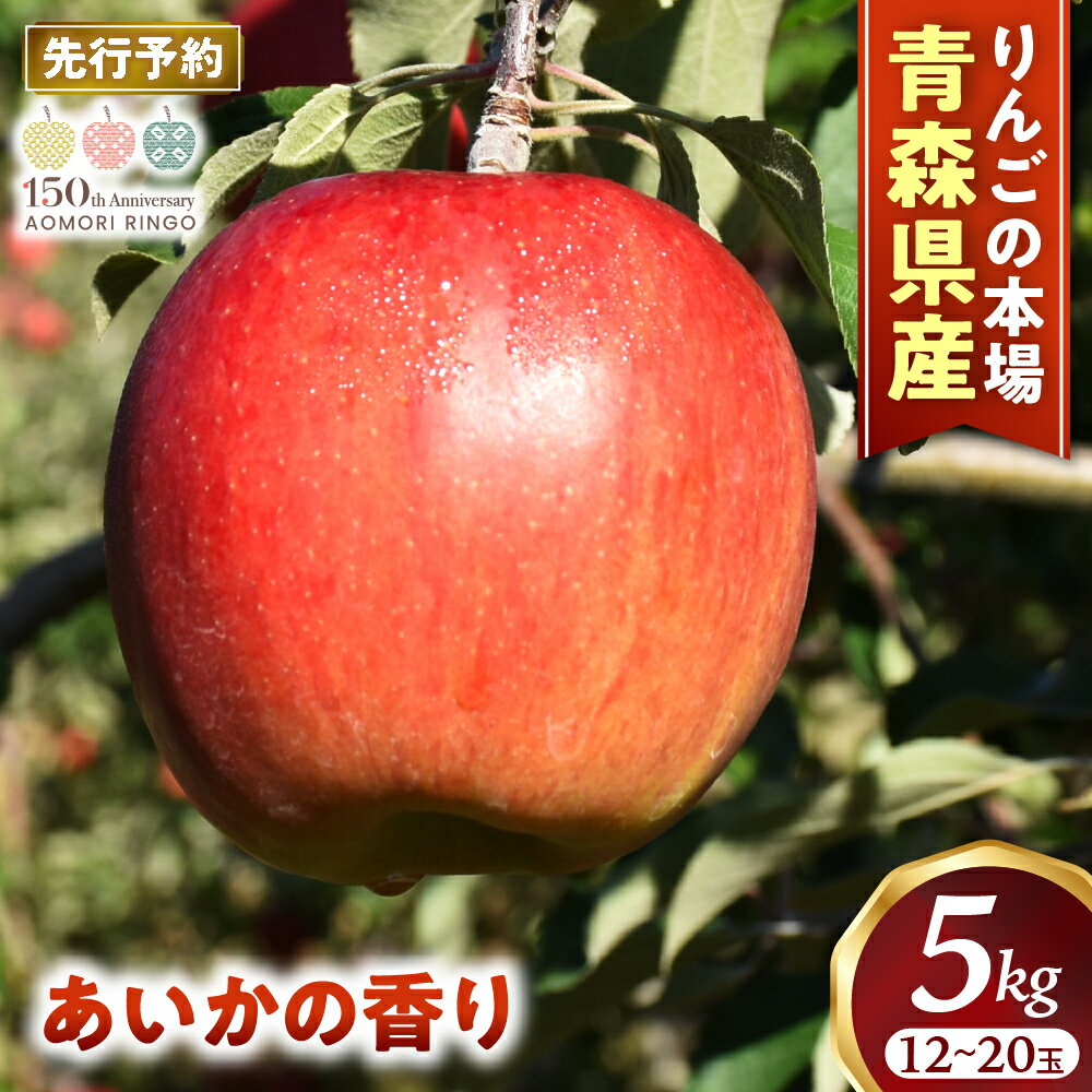 【2023 先行予約】 青森りんご あいかの香り 12～18玉 約5kg | 11月中旬以降発送予定 りんご 林檎 フルーツ 果物 果実 青森 青森県 青森県産 三戸 三戸町 高級 贈答 ギフト プレゼント 産地直送 農家直送 ふるさと納税 ふるさと 送料無料