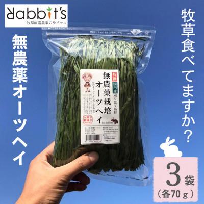 ふるさと納税 須恵町 【 無農薬栽培オーツヘイ 】(うさぎ用 ペットフード) 特選 70g×3袋