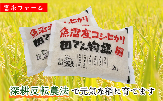 富永ファーム【お米定期便/全6回】魚沼産コシヒカリ（精米）4kg（2kg×2） 白米 ご飯 ブランド米 銘柄米 精米したて 新潟県産 直送 主食 炭水化物 複数回 半年 お届け 